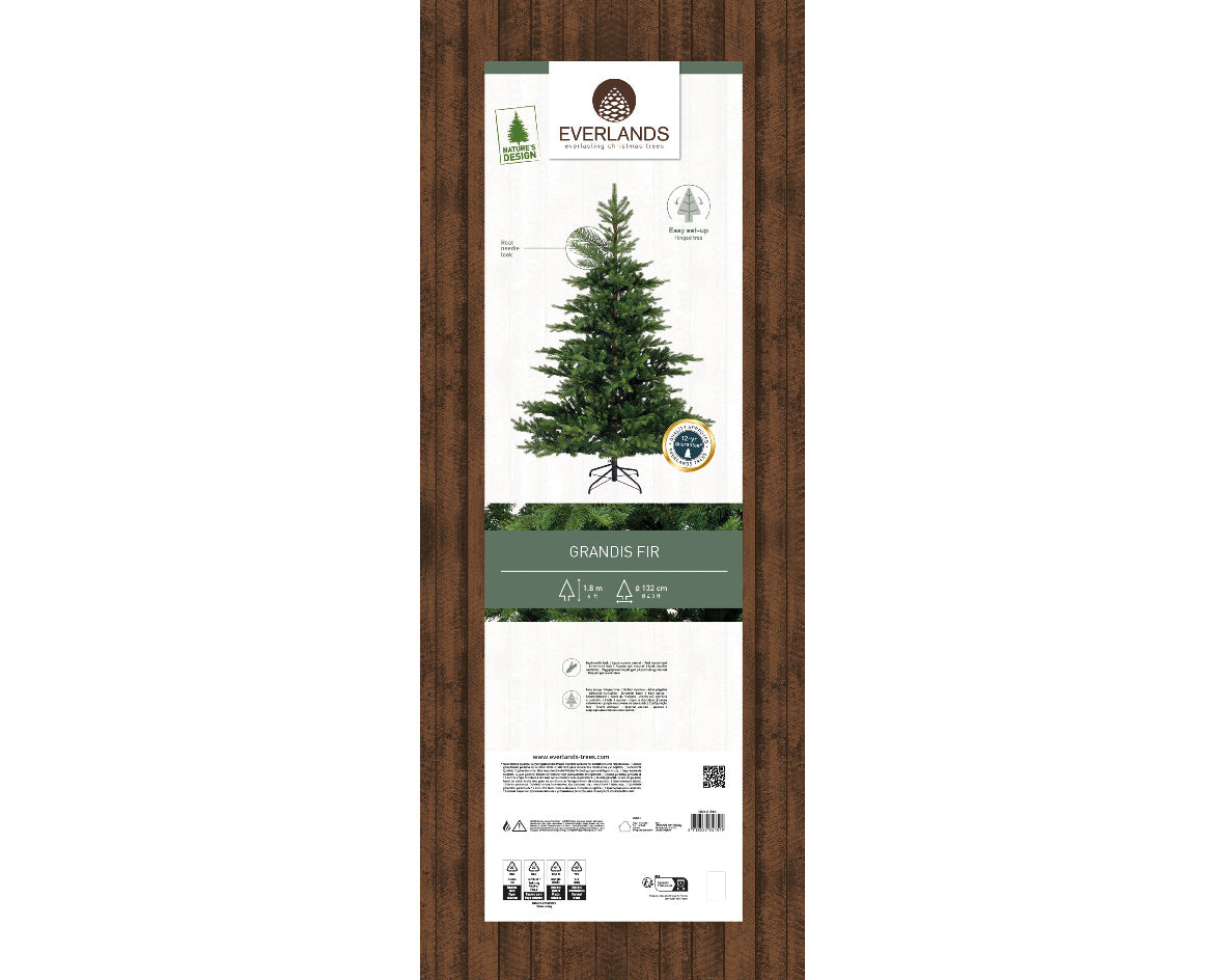 Grandis fir