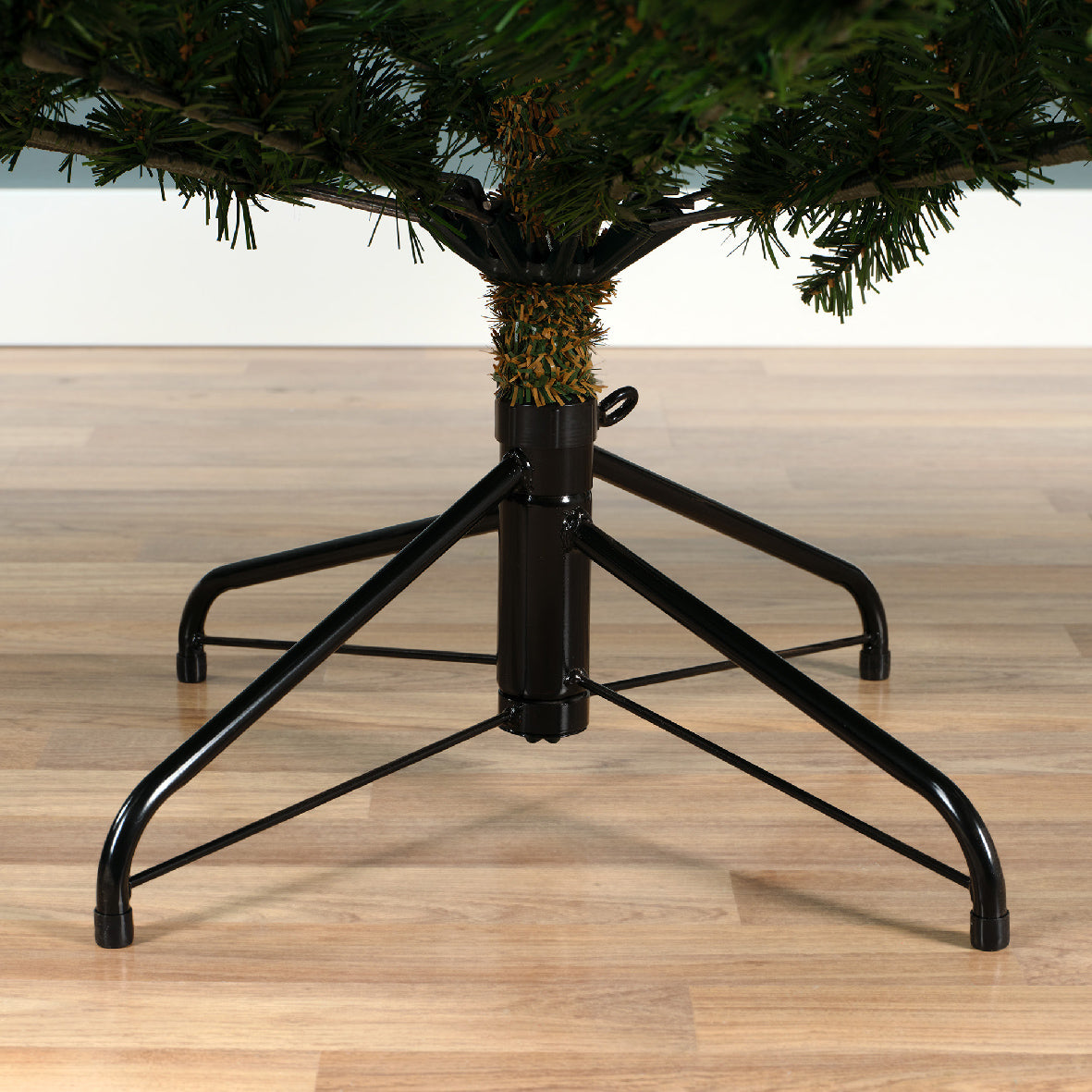 Grandis fir