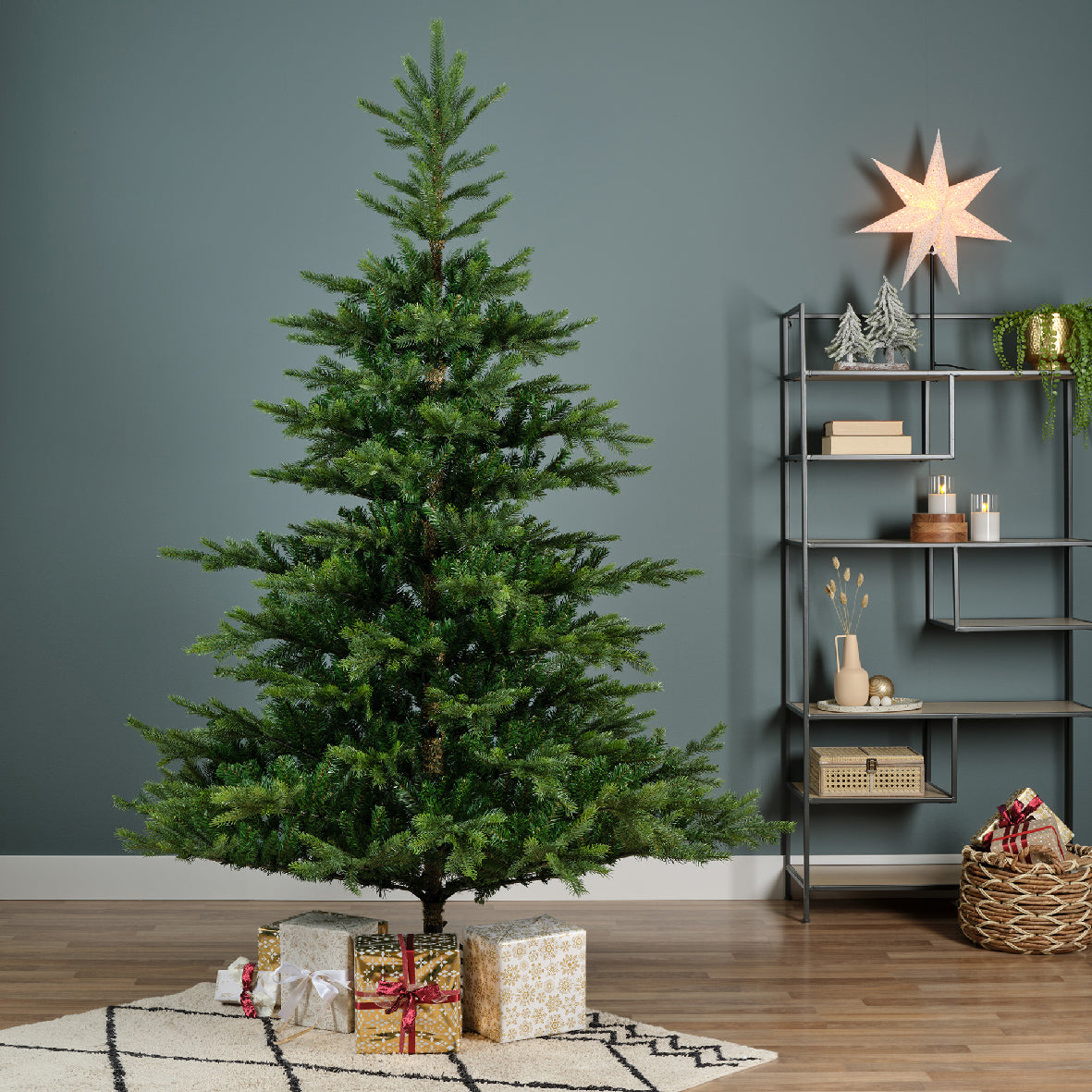 Grandis fir