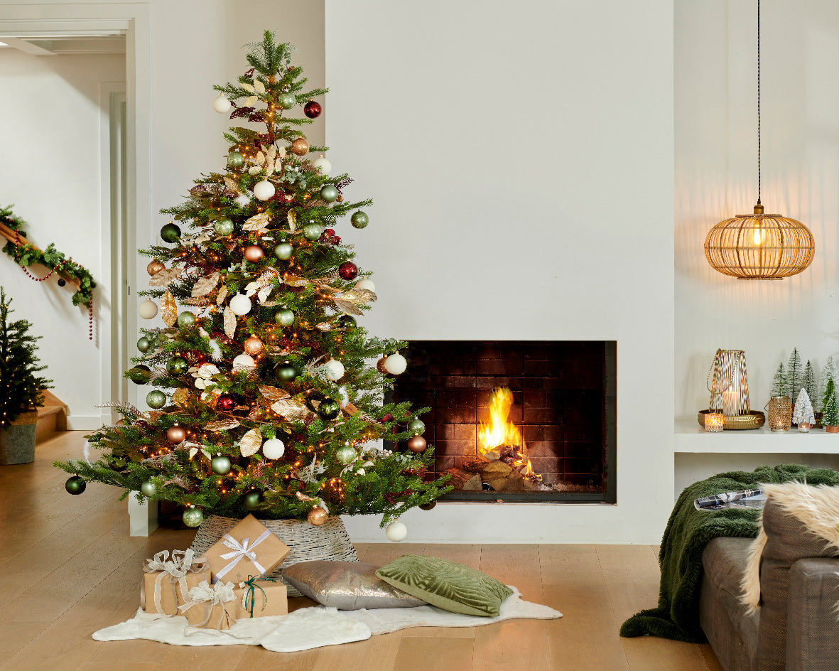 Grandis fir
