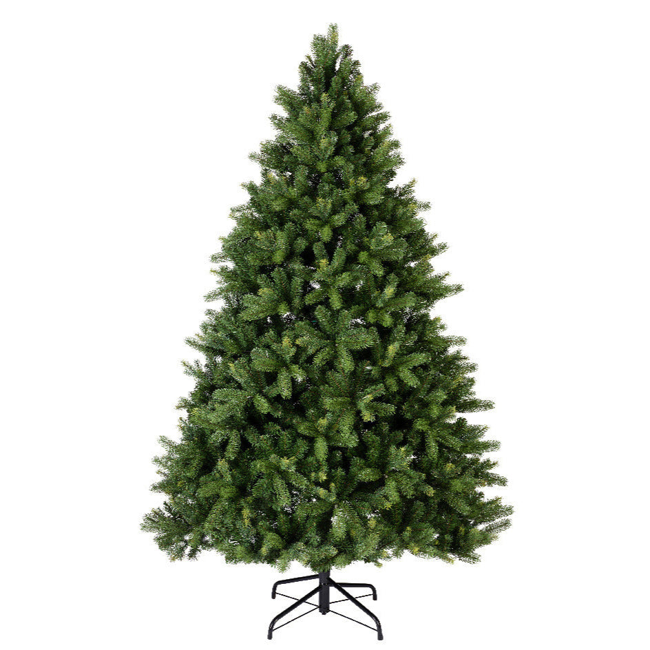 Freiburg Pine