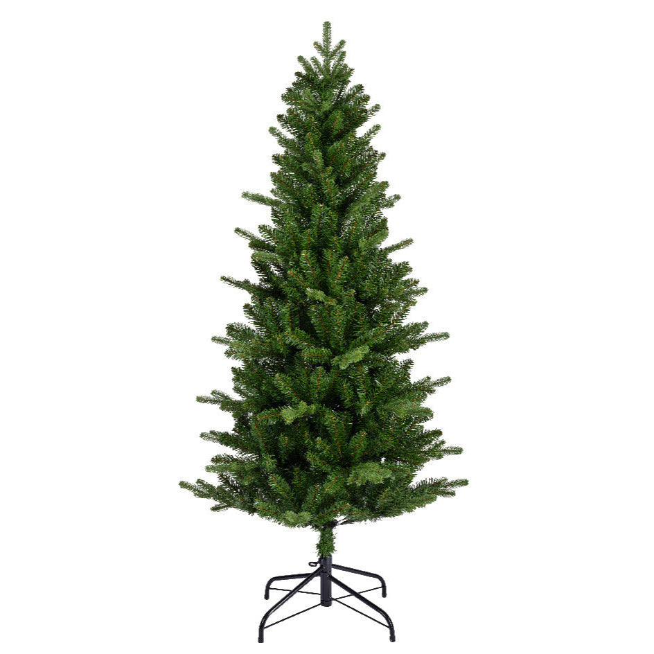 Killington fir