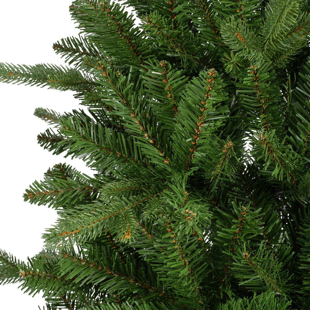 Killington fir