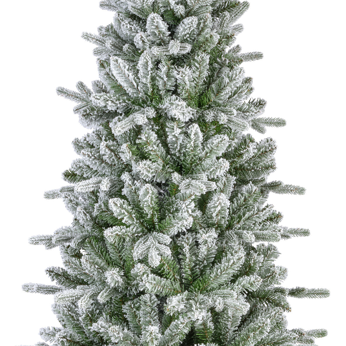 Killington Fir Frosted