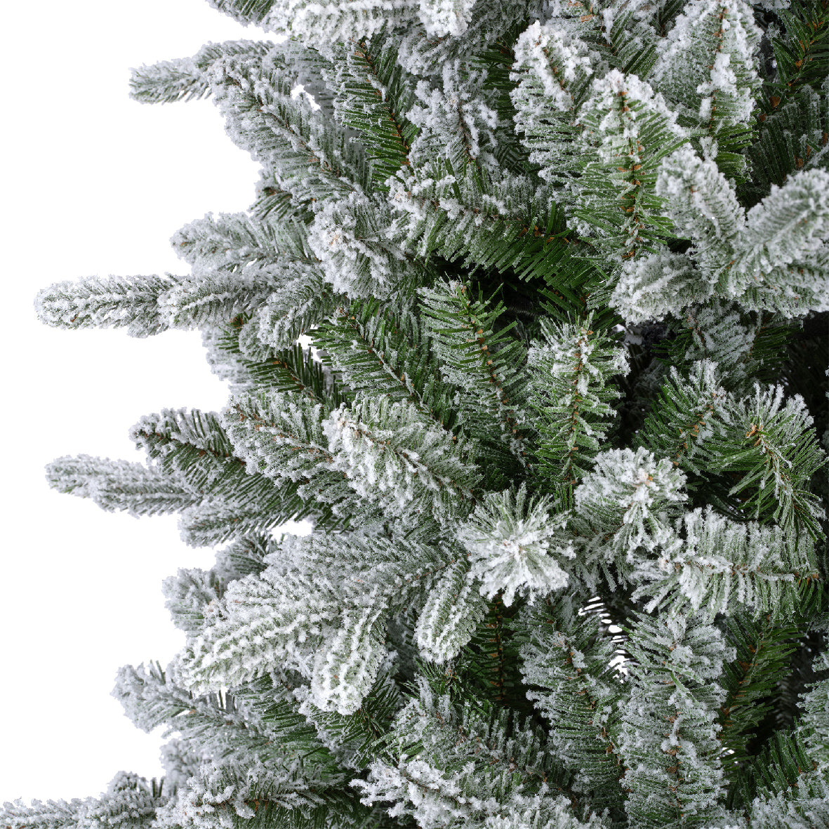 Killington Fir Frosted