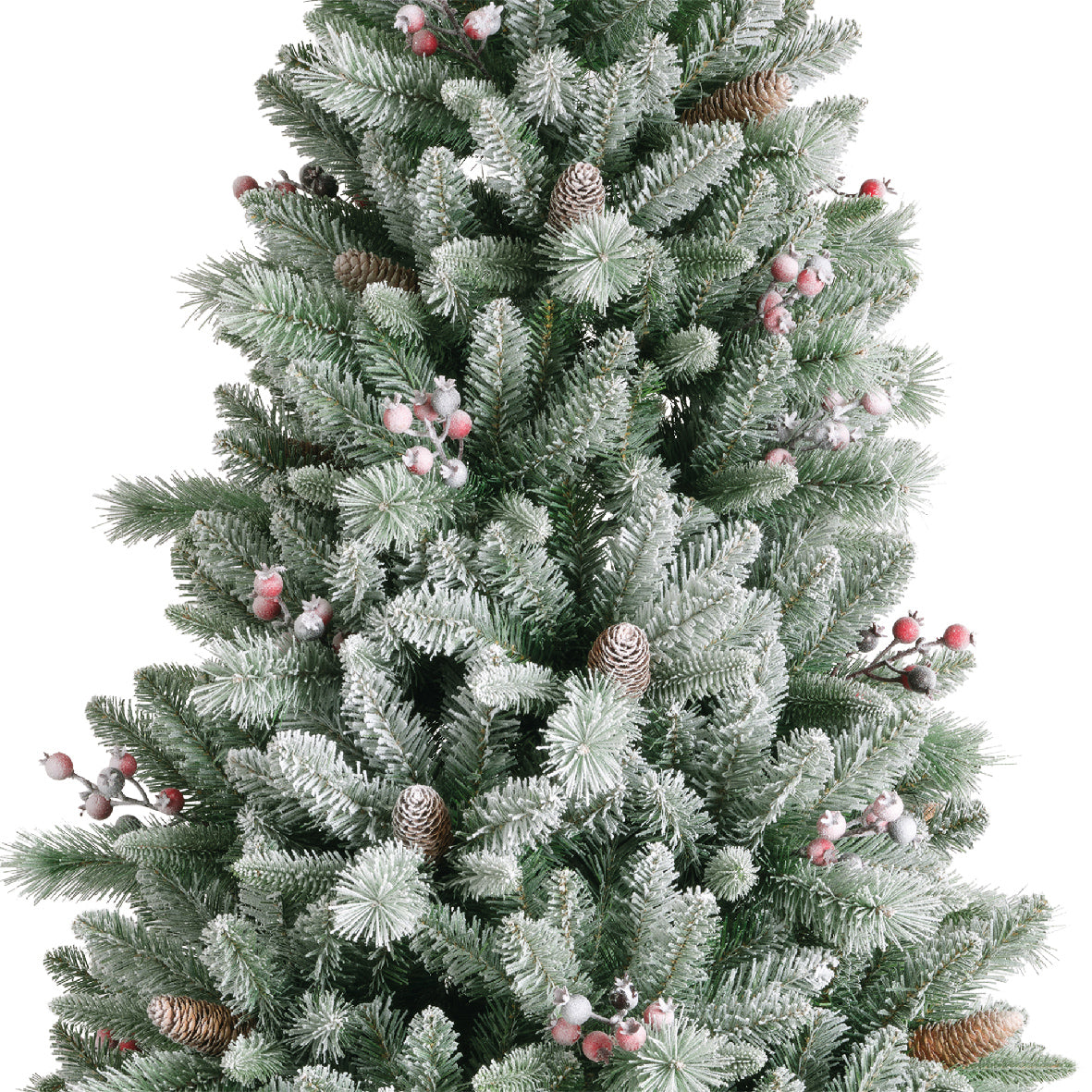 Windham Spruce Frosted