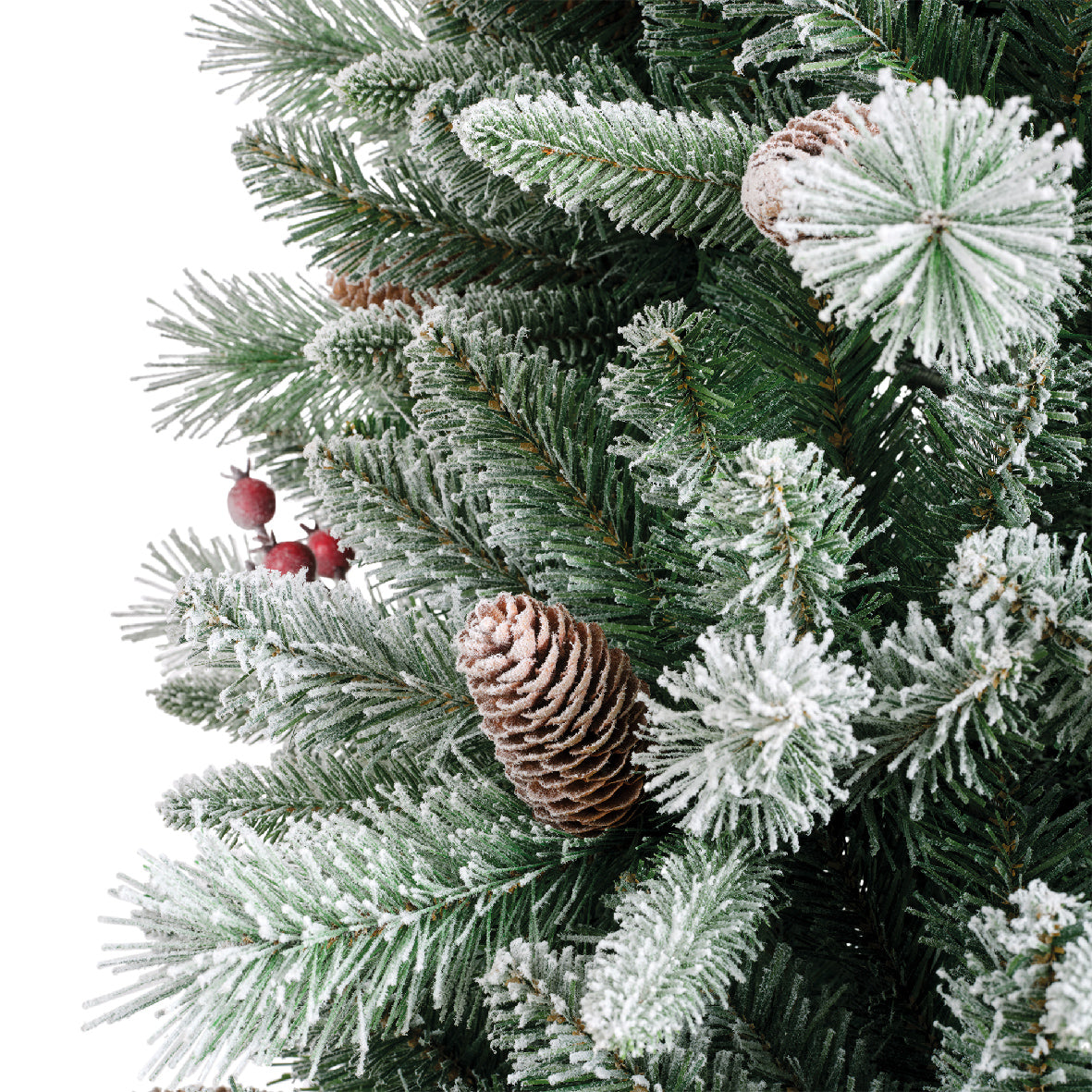 Windham Spruce Frosted