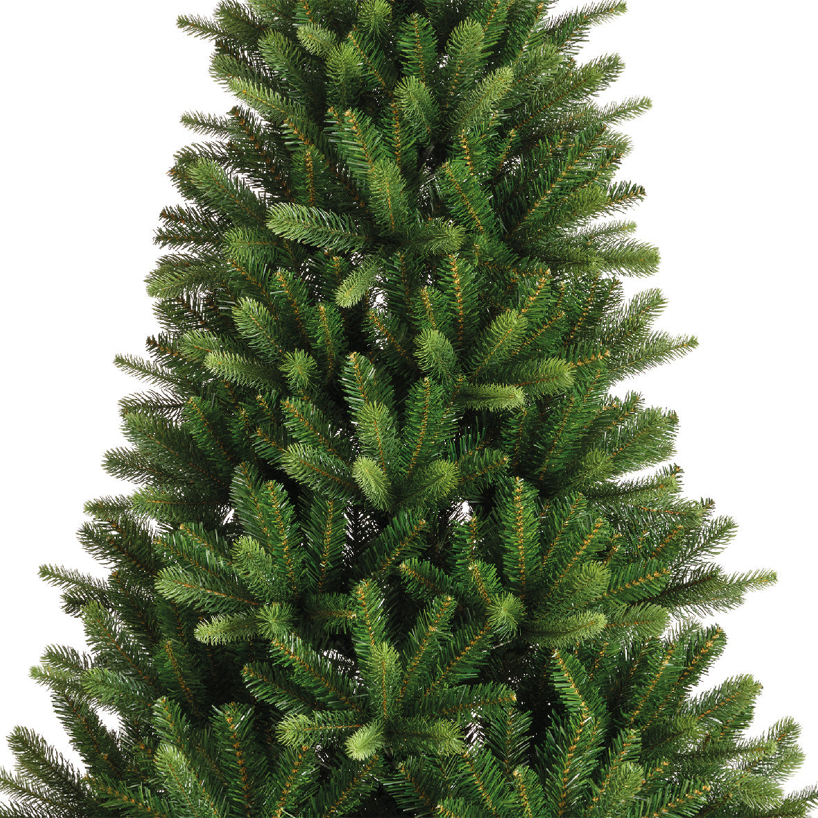Bromont Fir